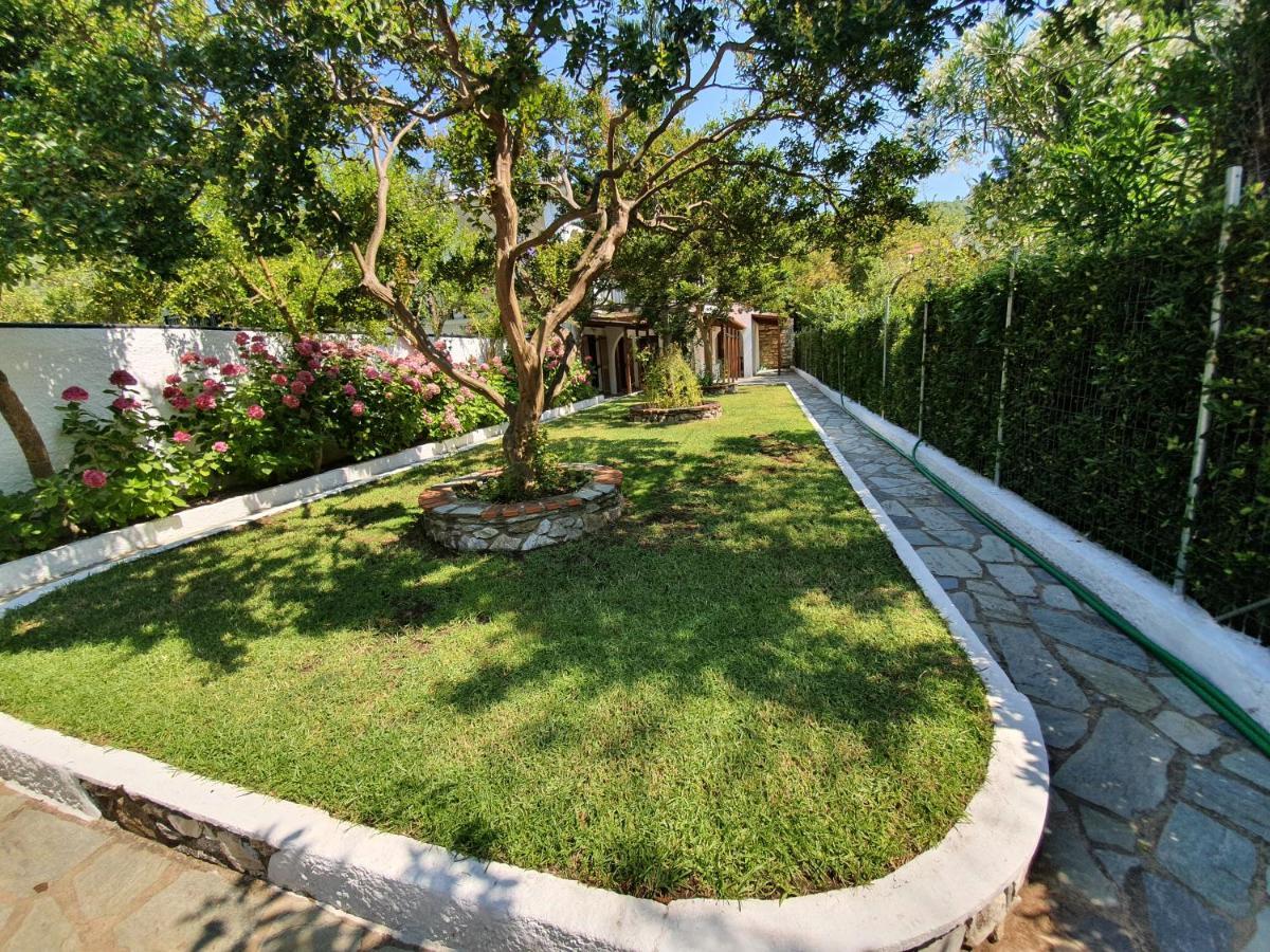 Dionisos Studios And Apts Skiathos Koukounaries Dış mekan fotoğraf