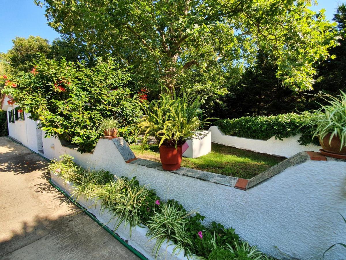 Dionisos Studios And Apts Skiathos Koukounaries Dış mekan fotoğraf