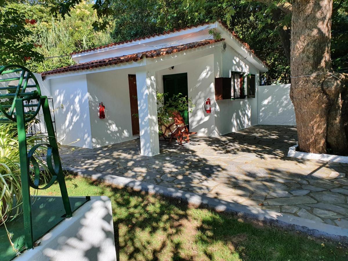 Dionisos Studios And Apts Skiathos Koukounaries Dış mekan fotoğraf